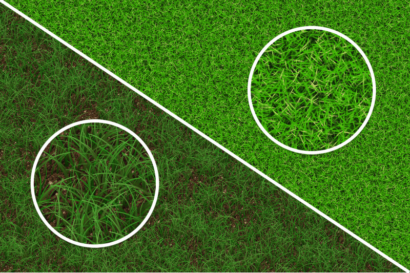 20-grass-background-textures