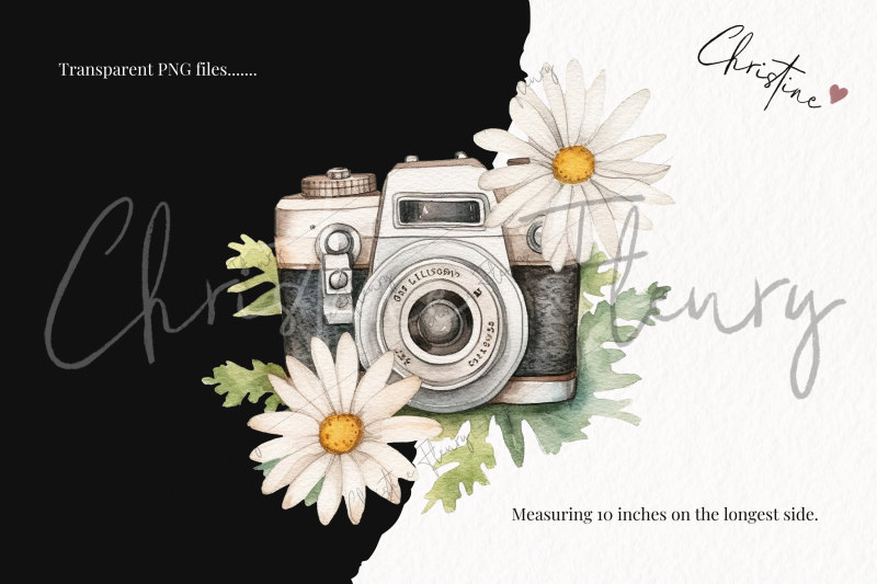 watercolor-daisy-dream-clipart-flower