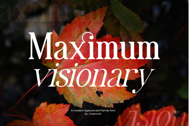 maximum-visionary-ligature-family-serif-font