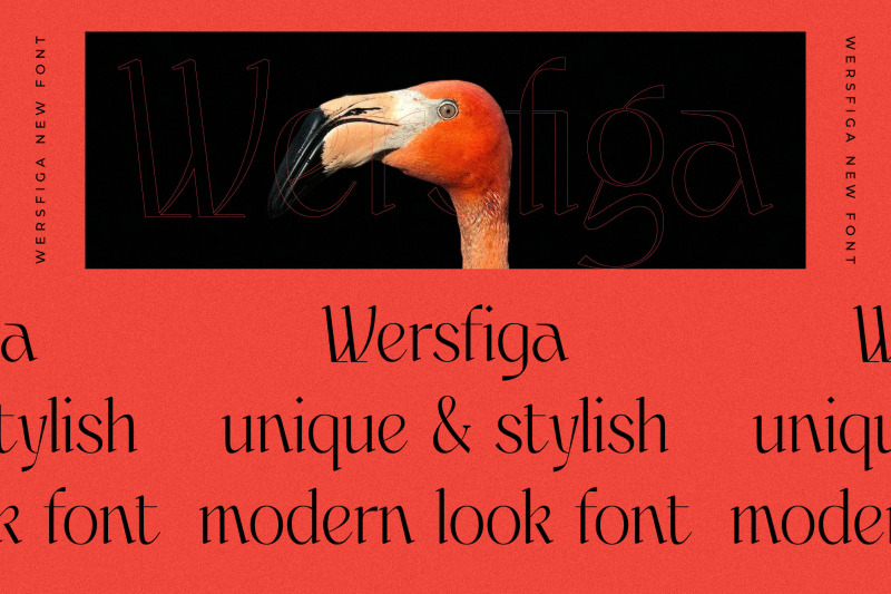 wersfiga-typeface