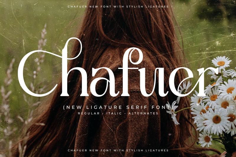chafuer-typeface