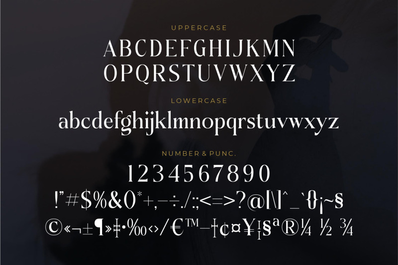 doknatle-typeface