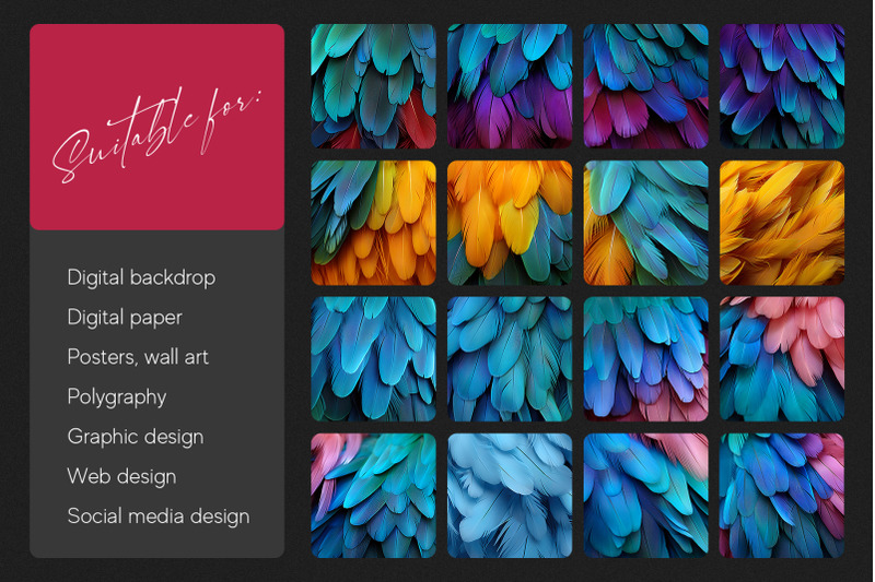 colorful-feather-background-texture-pack