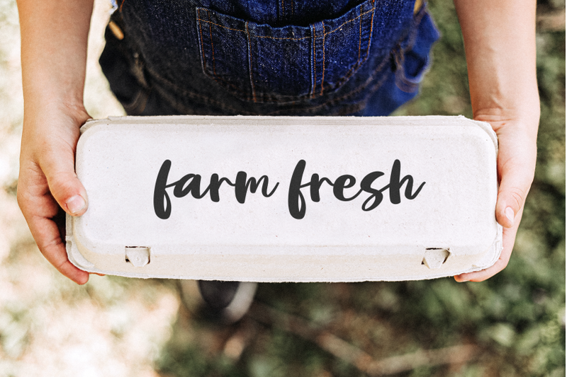 rustic-farm-farmhouse-script-font