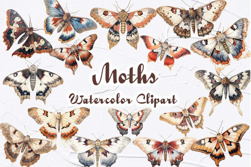 butterfly-moths-watercolor-clipart