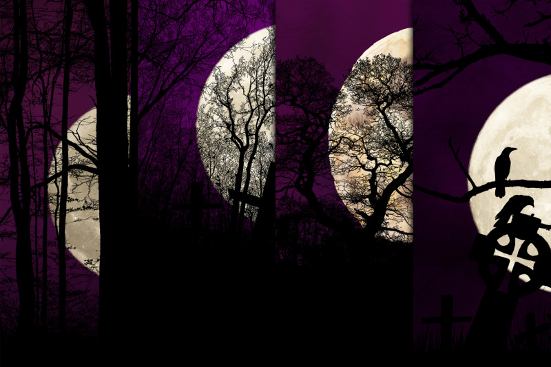 forest-amp-moon-halloween-backgrounds