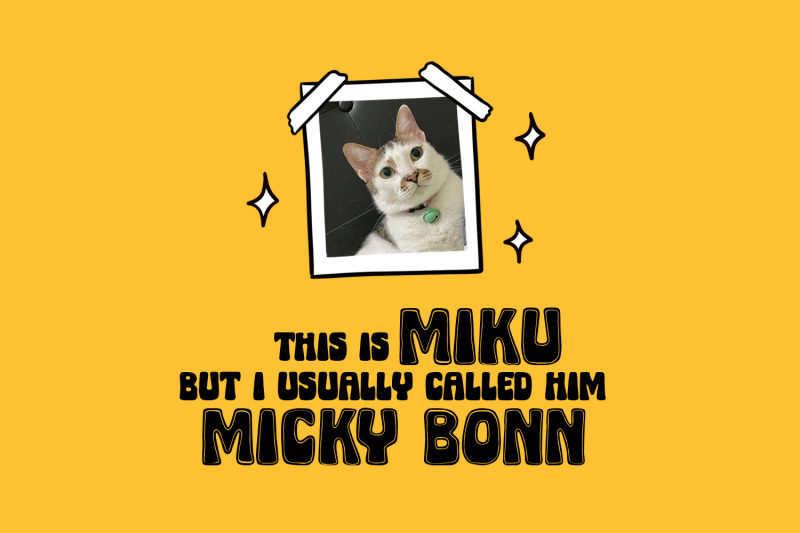 micky-bonn