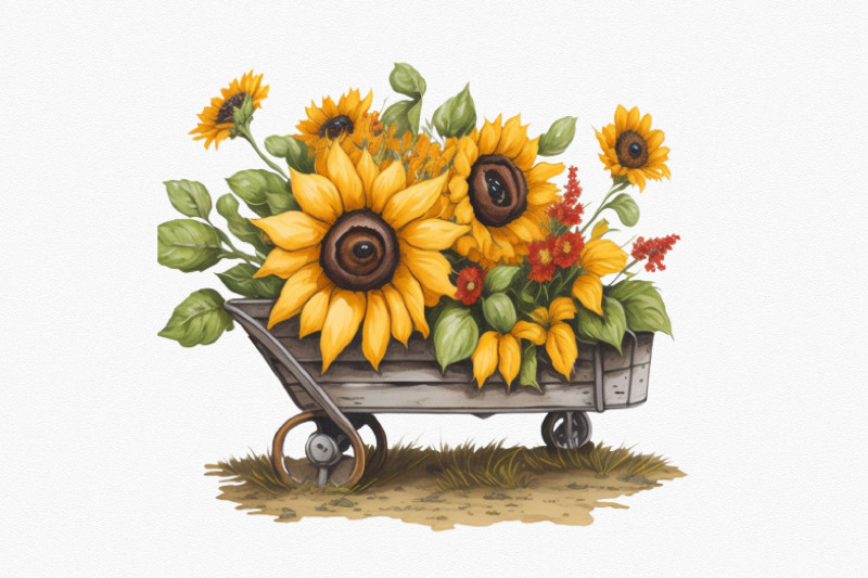 sunflower-watercolor-clipart