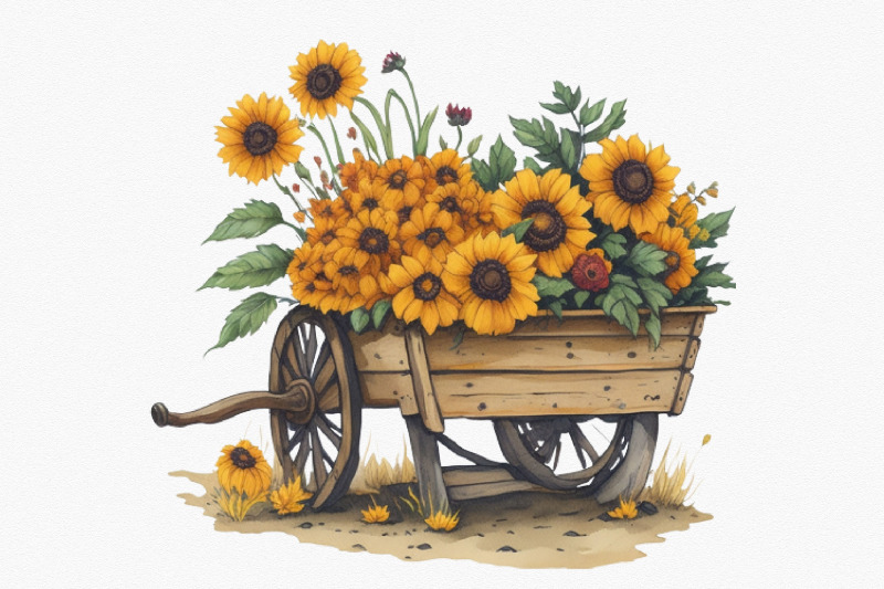sunflower-watercolor-clipart