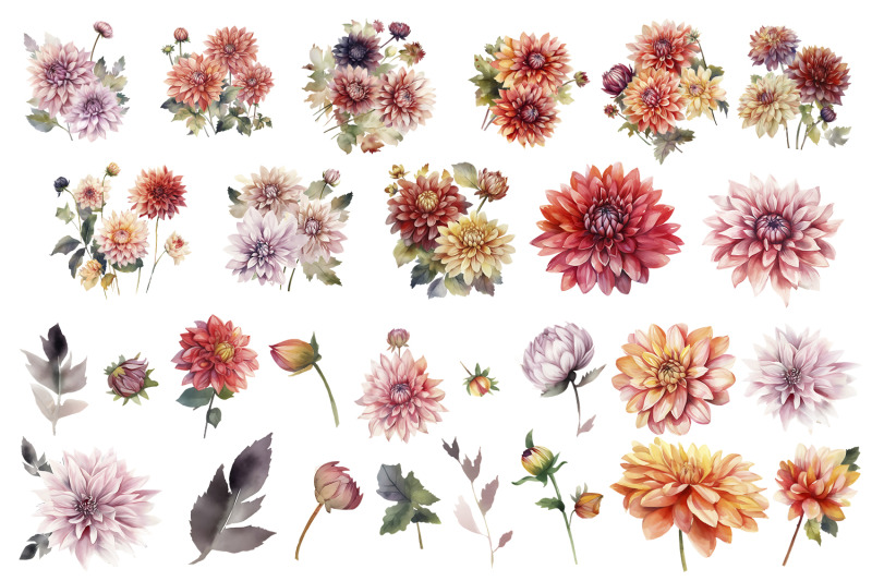 dahlia-flowers-clipart-floral-clip-art-bouquets