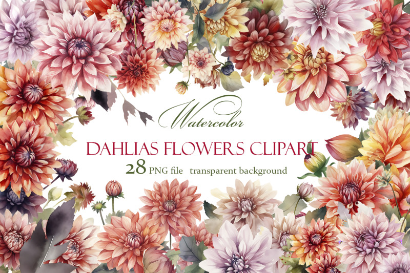 dahlia-flowers-clipart-floral-clip-art-bouquets