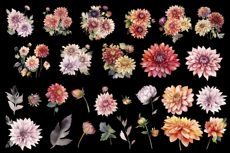 dahlia-flowers-clipart-floral-clip-art-bouquets