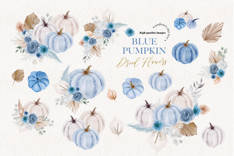 pumpkin-blue-boho-dried-floral-pampas-grass-clipart