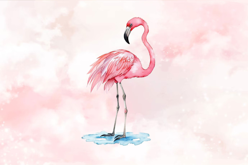 baby-pink-flamingo-watercolor-clipart