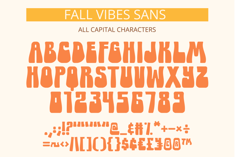 fall-vibes-groovy-a-farmhouse-font-duo