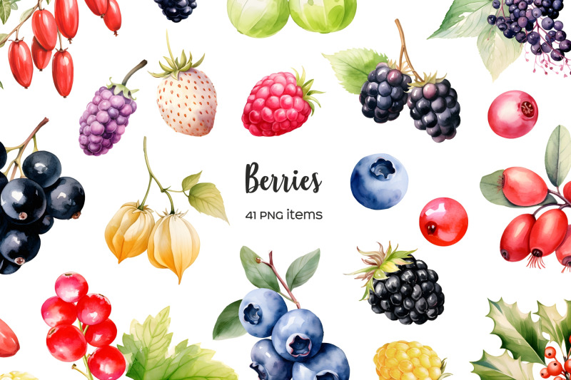 watercolor-berries-clipart-wild-berry-clip-art-41-png