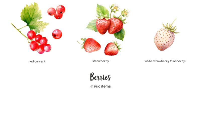 watercolor-berries-clipart-wild-berry-clip-art-41-png