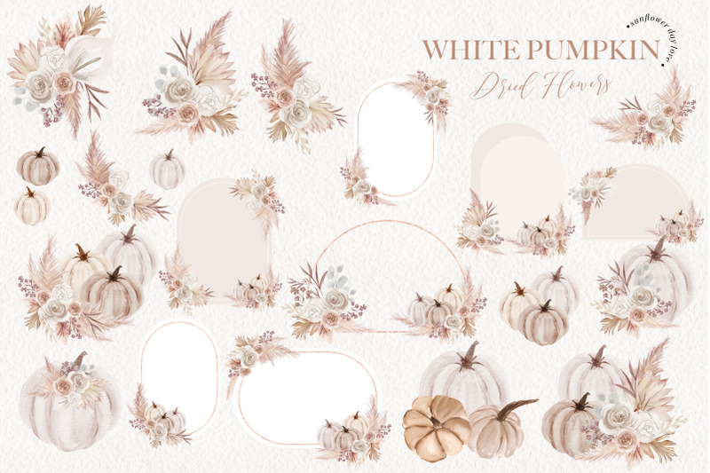 pumpkin-white-boho-dried-floral-pampas-grass-clipart