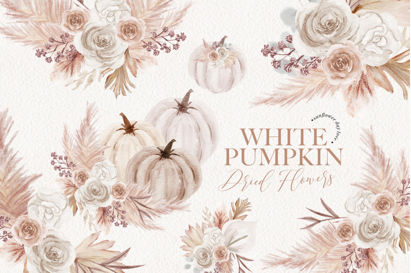 pumpkin-white-boho-dried-floral-pampas-grass-clipart