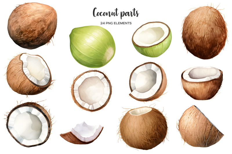 watercolor-coconut-clipart-coconut-clip-art-tropical-fruit-png