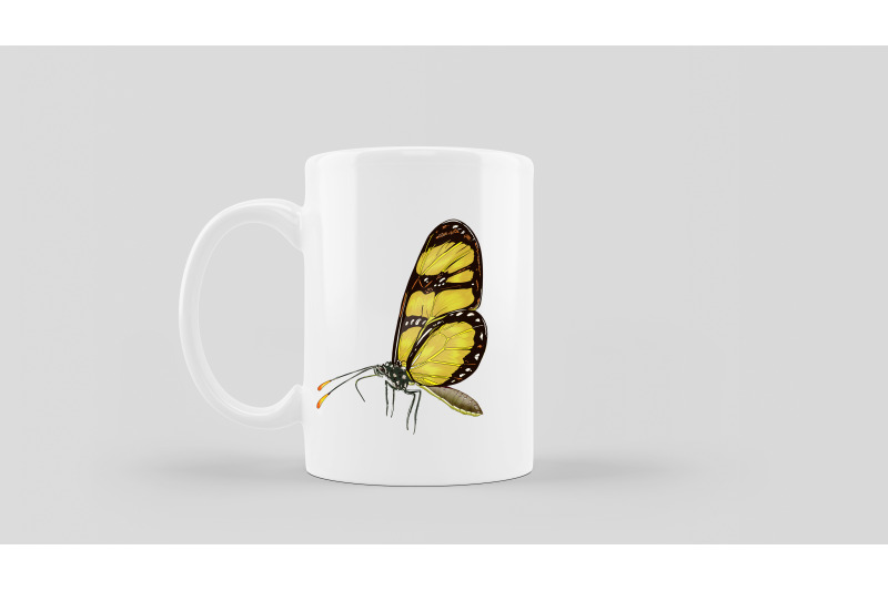 butterflies-clipart