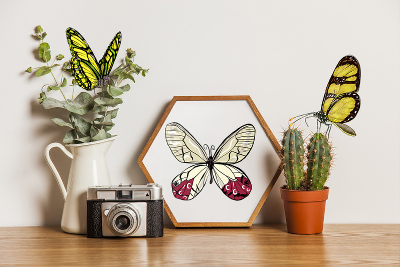 butterflies-clipart