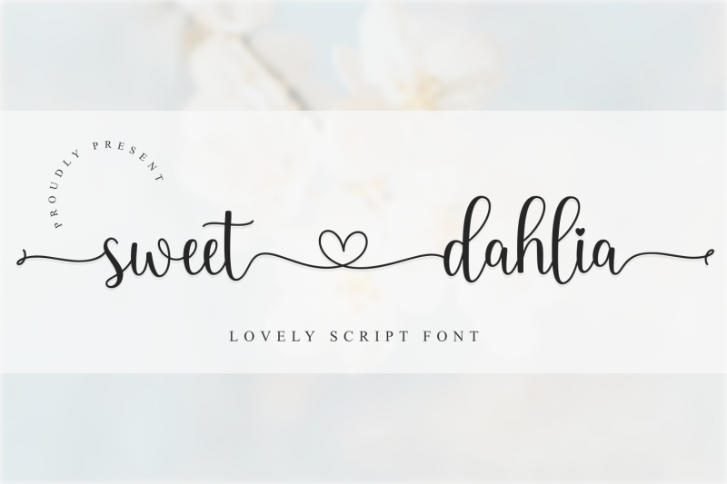 sweet-dahlia