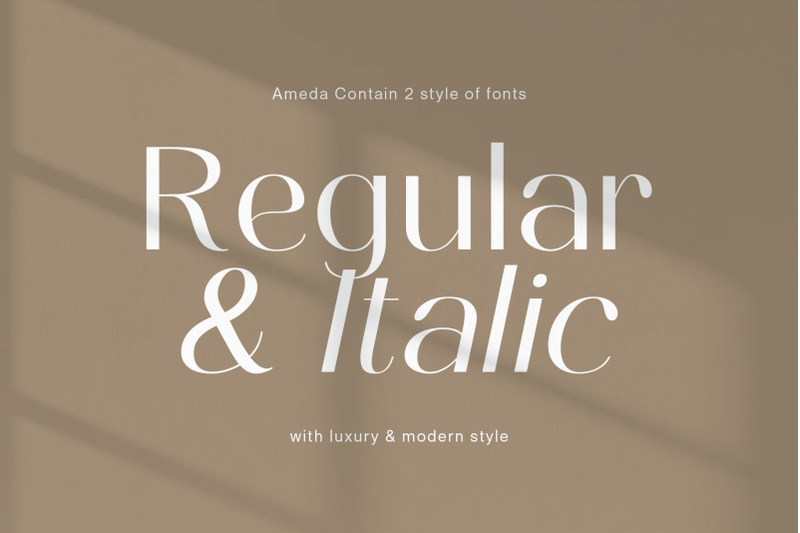 ameda-modern-stylish-sans-serif