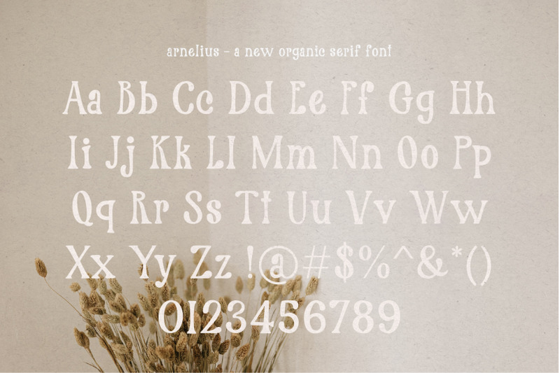 arnelius-serif-font