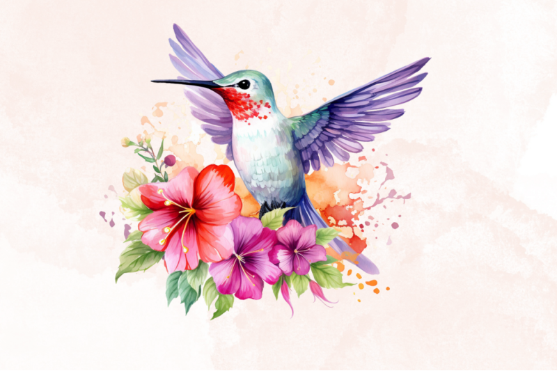 floral-hummingbird-watercolor-clipart