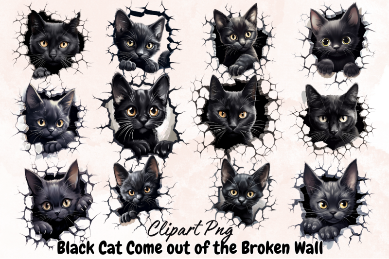 black-cat-come-out-of-the-broken-wall