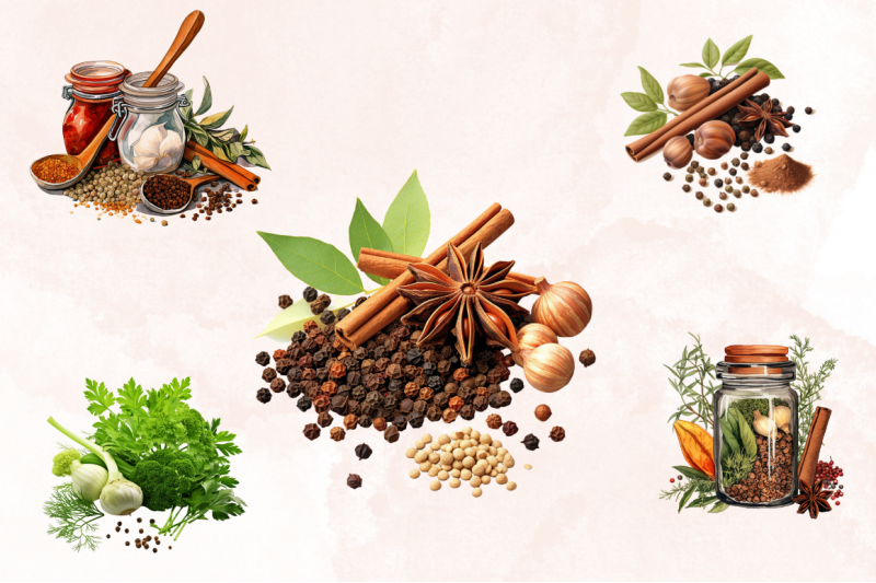 spice-and-herbs-collection-clipart