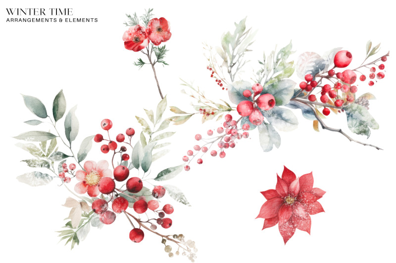 winter-berry-clipart-christmas-watercolor