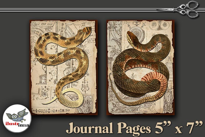 halloween-snakes-journal-pages-5-039-039-x7-039-039