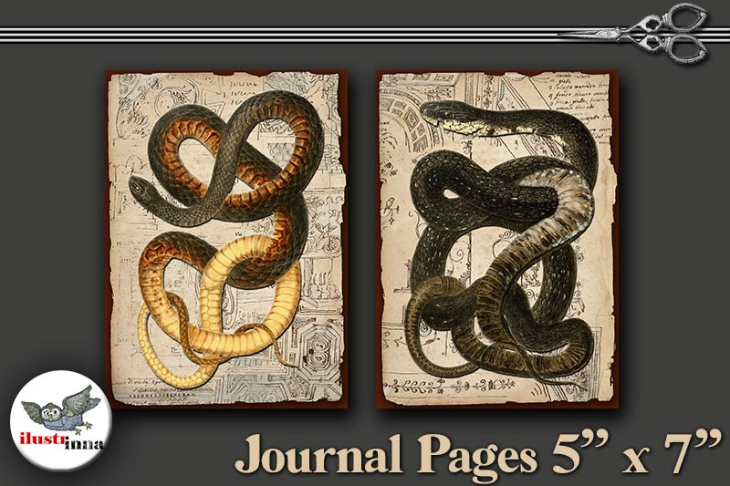 halloween-snakes-journal-pages-5-039-039-x7-039-039