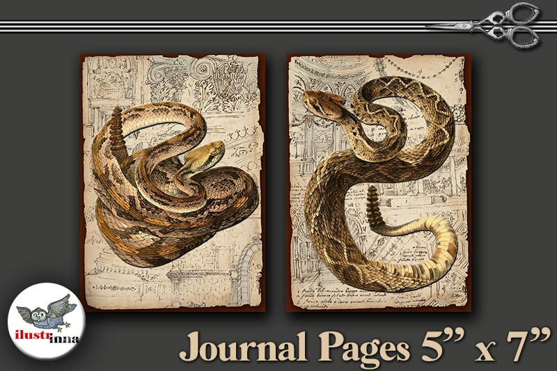 halloween-snakes-journal-pages-5-039-039-x7-039-039