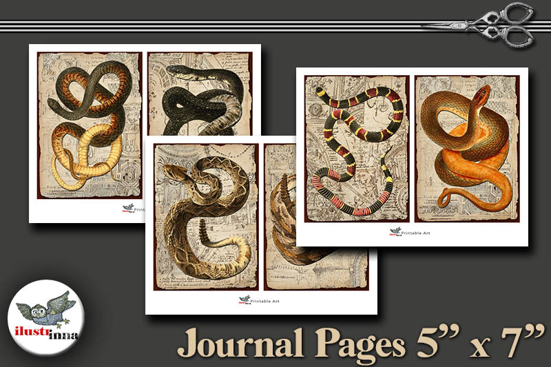 halloween-snakes-journal-pages-5-039-039-x7-039-039