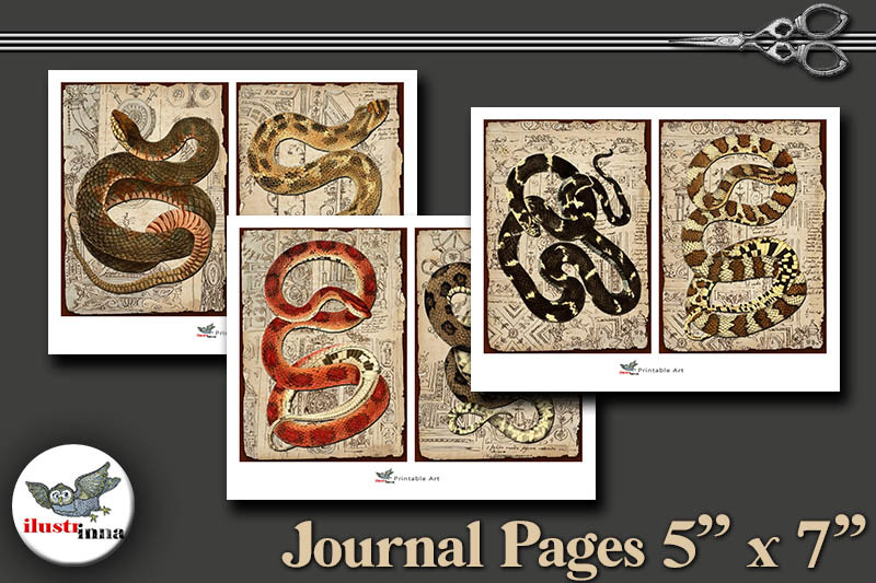 halloween-snakes-journal-pages-5-039-039-x7-039-039