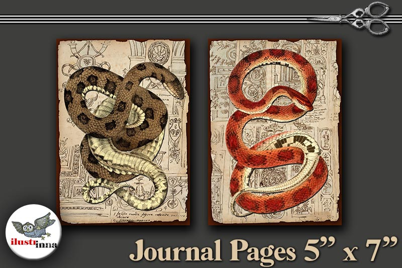 halloween-snakes-journal-pages-5-039-039-x7-039-039