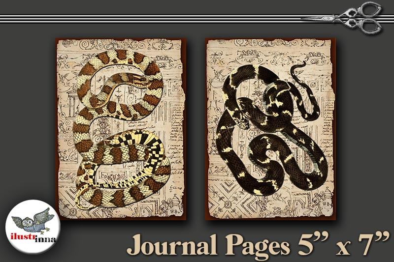 halloween-snakes-journal-pages-5-039-039-x7-039-039