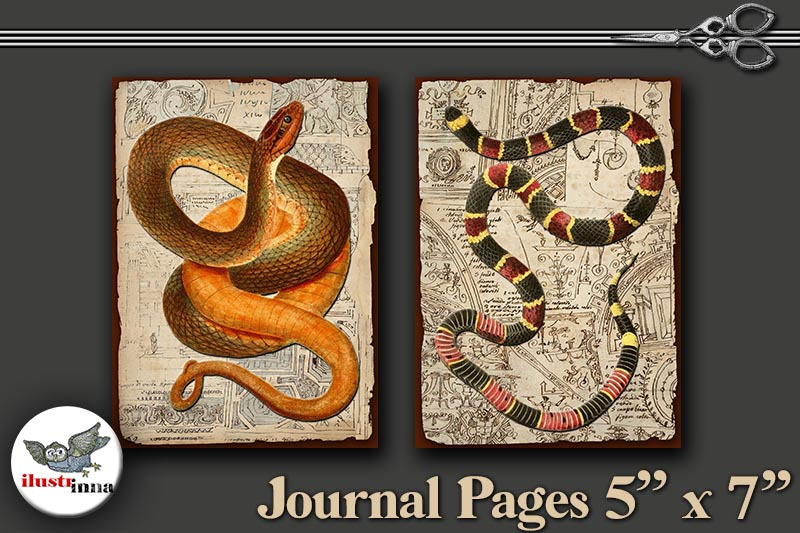 halloween-snakes-journal-pages-5-039-039-x7-039-039