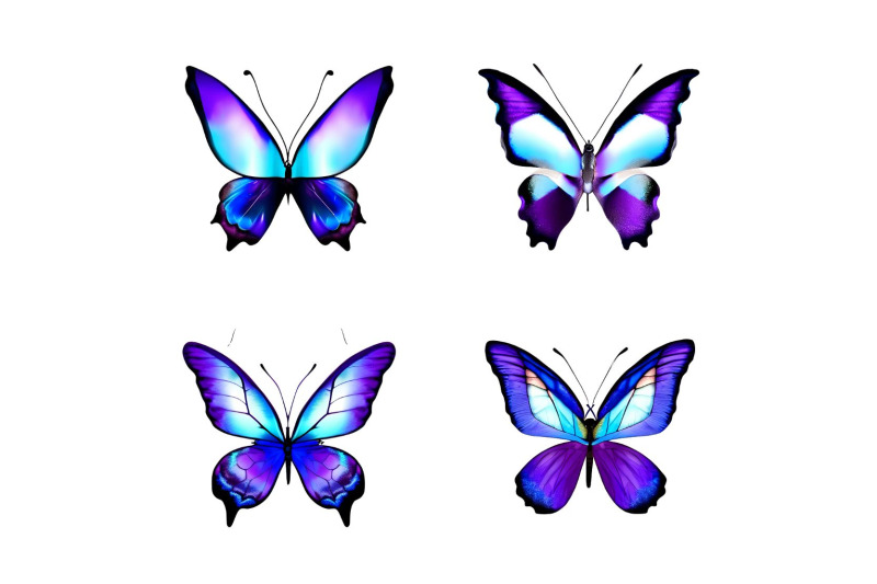 12-blue-and-purple-butterfly-transparent-png-file-images