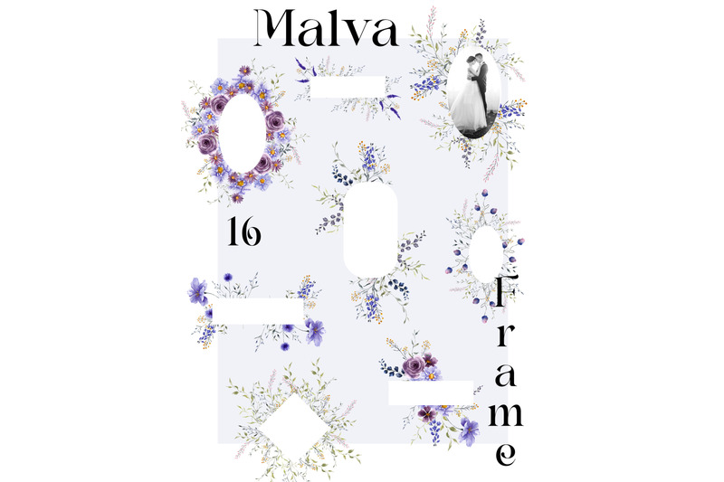 malva-watercolor-meadow-flowers