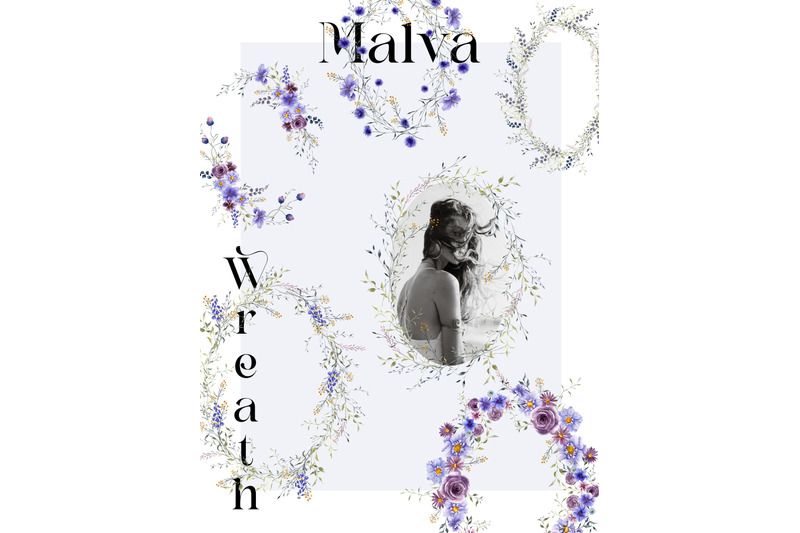 malva-watercolor-meadow-flowers
