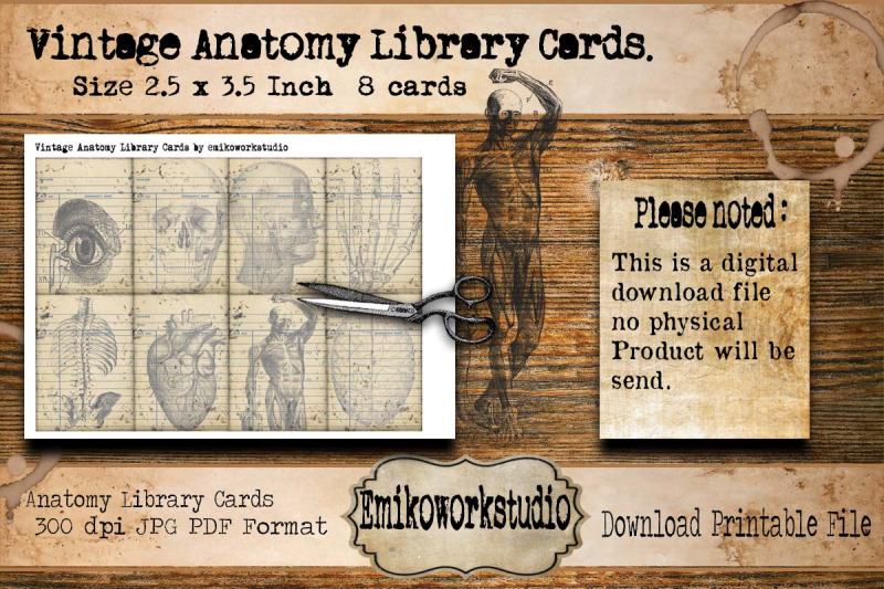 vintage-anatomy-library-cards-vintage-ephemera-card