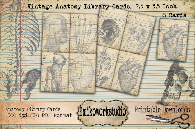 vintage-anatomy-library-cards-vintage-ephemera-card