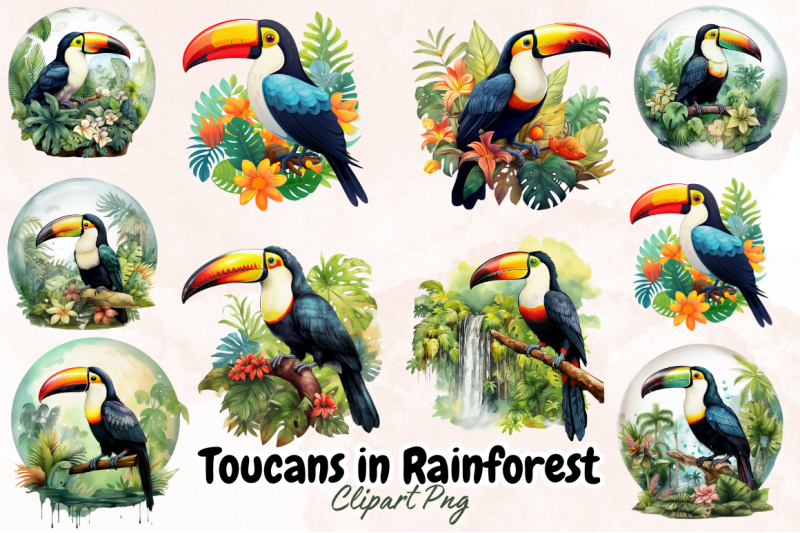 toucan-in-rainforest-sublimation