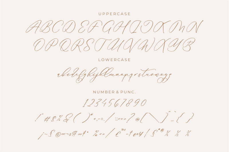 anticka-whitnes-beauty-script-font