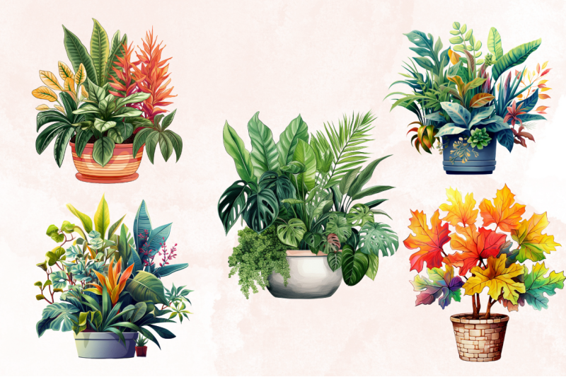 houseplants-pot-sublimation-bundle