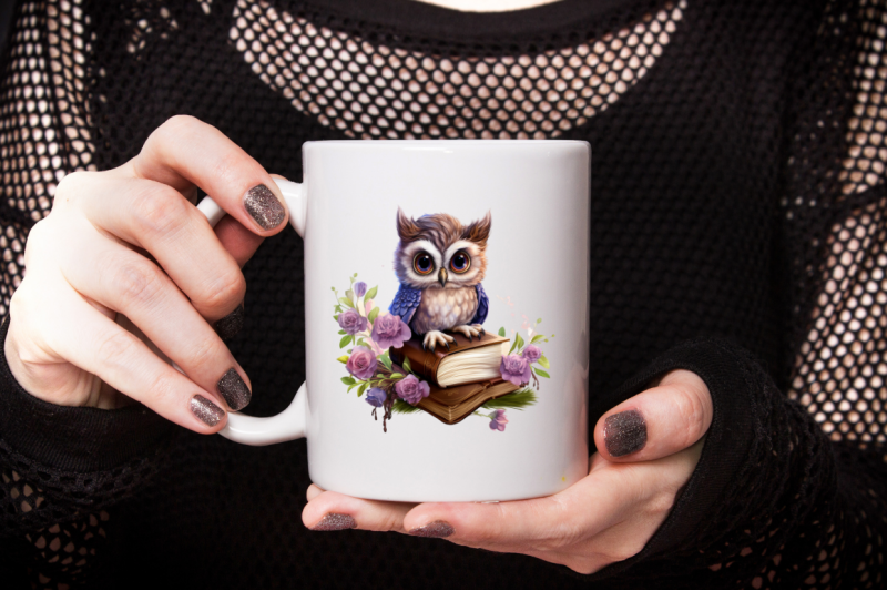 fairy-owl-on-book-sublimation-clipart